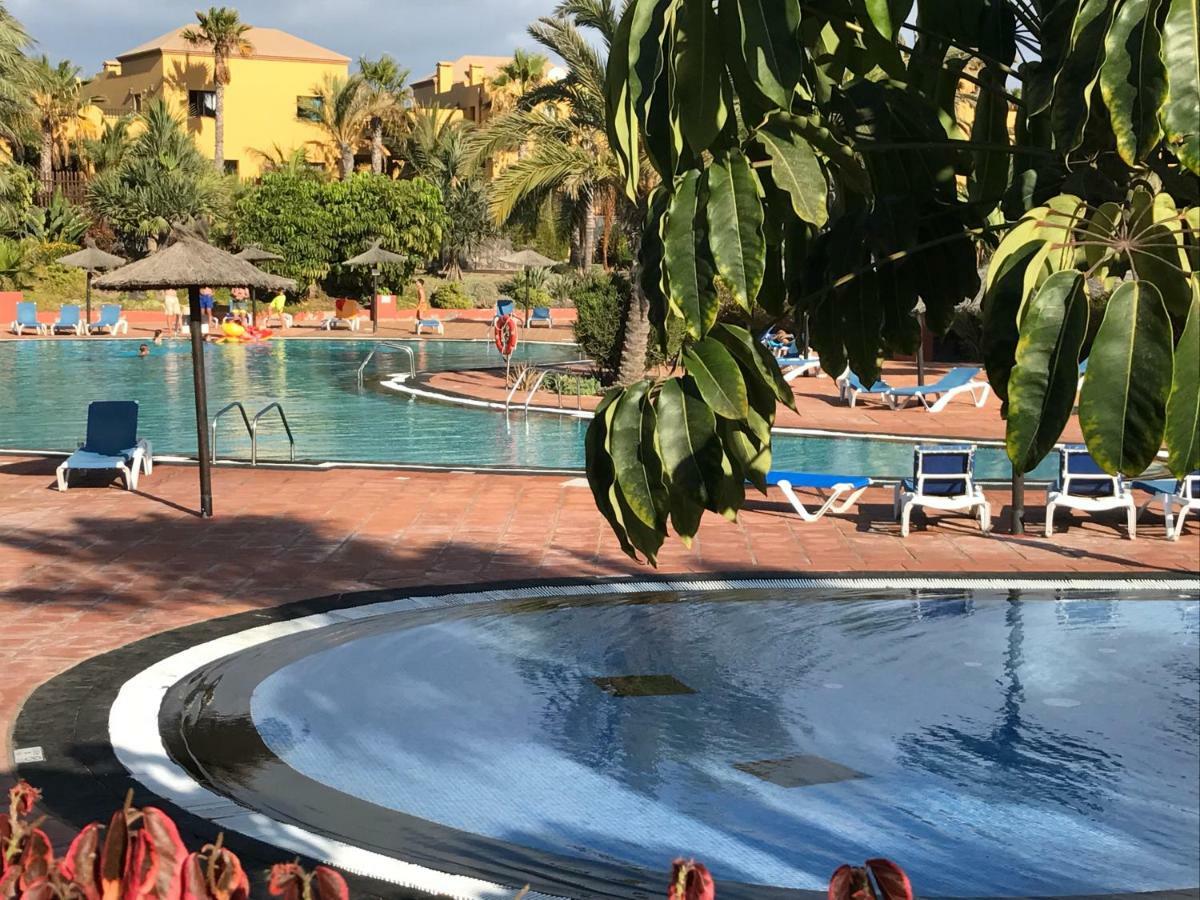 My Pretty Home - Lovely And Spacious Surrounded By Tropical Gardens - Private Covered And Uncovered Terrace - Pool - Parking - Free Fibre Optic Internet 科拉雷侯 外观 照片
