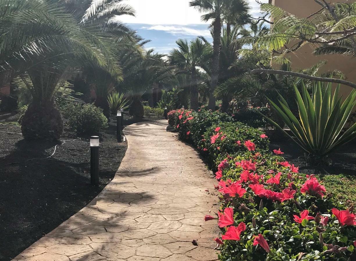 My Pretty Home - Lovely And Spacious Surrounded By Tropical Gardens - Private Covered And Uncovered Terrace - Pool - Parking - Free Fibre Optic Internet 科拉雷侯 外观 照片