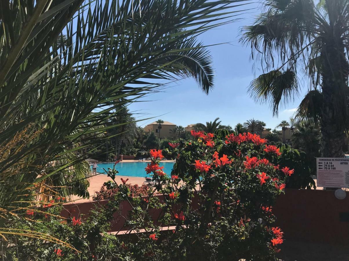 My Pretty Home - Lovely And Spacious Surrounded By Tropical Gardens - Private Covered And Uncovered Terrace - Pool - Parking - Free Fibre Optic Internet 科拉雷侯 外观 照片